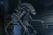 Aliens - 40th Anniversary Ultimate Warrior Xenomorph Action Figure (Preorder Sep 2026) - Collectables > Action Figures > toys -  Neca