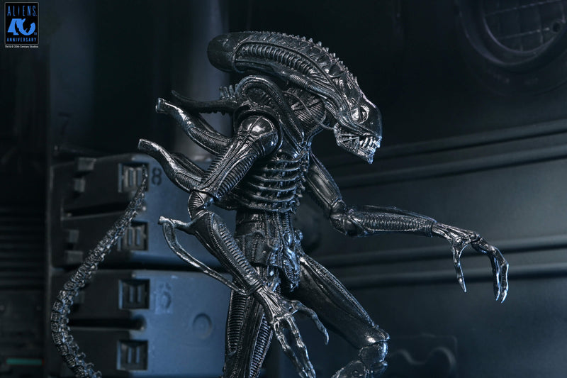 Aliens - 40th Anniversary Ultimate Warrior Xenomorph Action Figure (Preorder Sep 2026) - Collectables > Action Figures > toys -  Neca