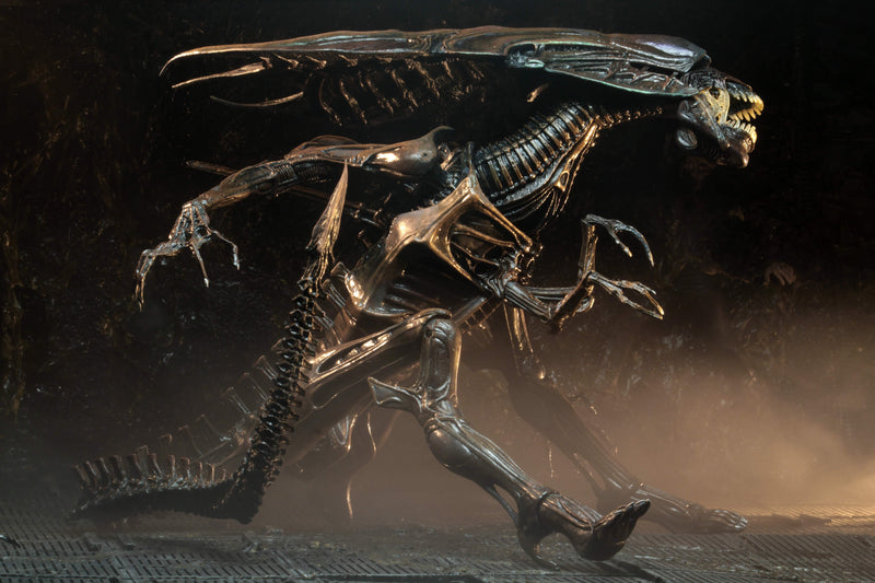Alien Resurrection - Alien Resurrection Deluxe Queen Ultra Deluxe Boxed Figure (Preorder Sep 2026) - Collectables > Action Figures > toys -  Neca