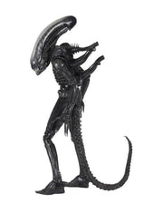 Alien - Big Chap 1/4 Scale Action Figure (Preorder Sep 2026) - Collectables > Action Figures > toys -  Neca
