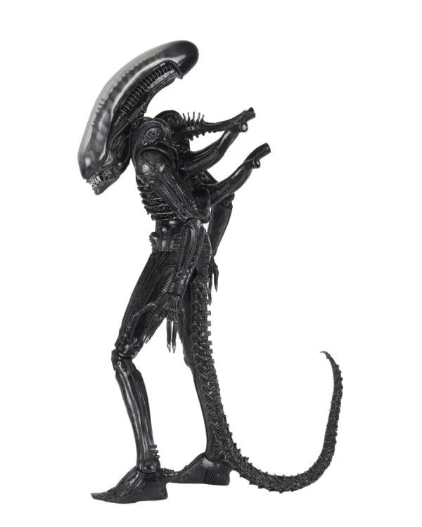 Alien - Big Chap 1/4 Scale Action Figure (Preorder Sep 2026) - Collectables > Action Figures > toys -  Neca