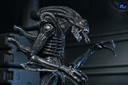 Aliens - 40th Anniversary Ultimate Warrior Xenomorph Action Figure (Preorder Sep 2026) - Collectables > Action Figures > toys -  Neca