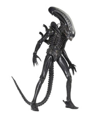 Alien - Big Chap 1/4 Scale Action Figure (Preorder Sep 2026) - Collectables > Action Figures > toys -  Neca