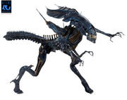 Aliens - 40th Anniversary Alien Queen Ultra Deluxe Boxed Figure (Preorder Sep 2026) - Collectables > Action Figures > toys -  Neca