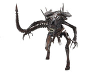 Alien Resurrection - Alien Resurrection Deluxe Queen Ultra Deluxe Boxed Figure (Preorder Sep 2026) - Collectables > Action Figures > toys -  Neca