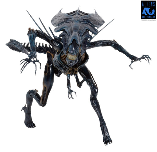 Aliens - 40th Anniversary Alien Queen Ultra Deluxe Boxed Figure (Preorder Sep 2026) - Collectables > Action Figures > toys -  Neca