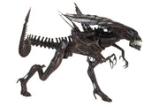 Alien Resurrection - Alien Resurrection Deluxe Queen Ultra Deluxe Boxed Figure (Preorder Sep 2026) - Collectables > Action Figures > toys -  Neca