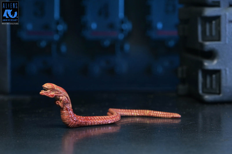 Aliens - 40th Anniversary Ultimate Warrior Xenomorph Action Figure (Preorder Sep 2026) - Collectables > Action Figures > toys -  Neca