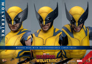 Deadpool & Wolverine - Wolverine 1/6th Scale Collectible Figure - MMS753 - Collectables > Action Figures > toys -  Hot Toys