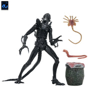 Aliens - 40th Anniversary Ultimate Warrior Xenomorph Action Figure (Preorder Sep 2026) - Collectables > Action Figures > toys -  Neca