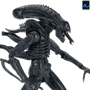 Aliens - 40th Anniversary Ultimate Warrior Xenomorph Action Figure (Preorder Sep 2026) - Collectables > Action Figures > toys -  Neca