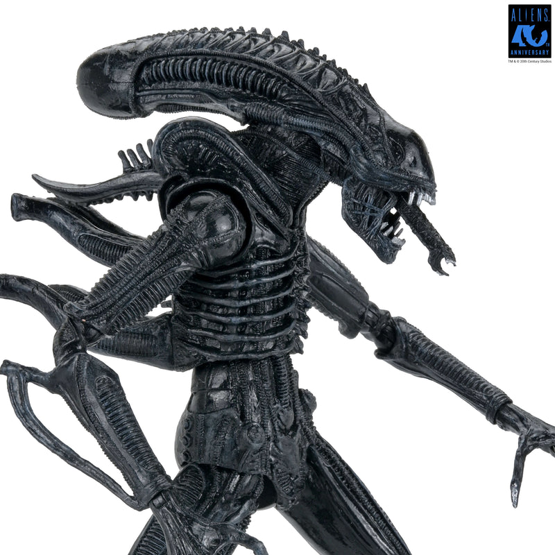 Aliens - 40th Anniversary Ultimate Warrior Xenomorph Action Figure (Preorder Sep 2026) - Collectables > Action Figures > toys -  Neca