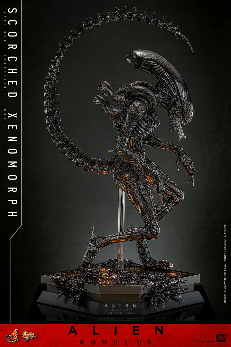 Alien: Romulus - Scorched Xenomorph 1/6th Scale Collectible Figure - MMS784