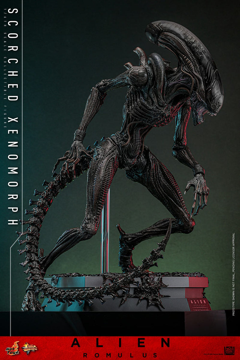 Alien: Romulus - Scorched Xenomorph 1/6th Scale Collectible Figure - MMS784