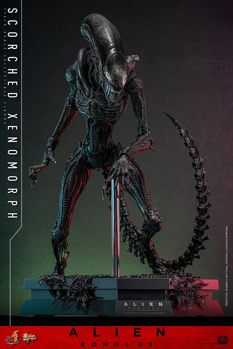 Alien: Romulus - Scorched Xenomorph 1/6th Scale Collectible Figure - MMS784