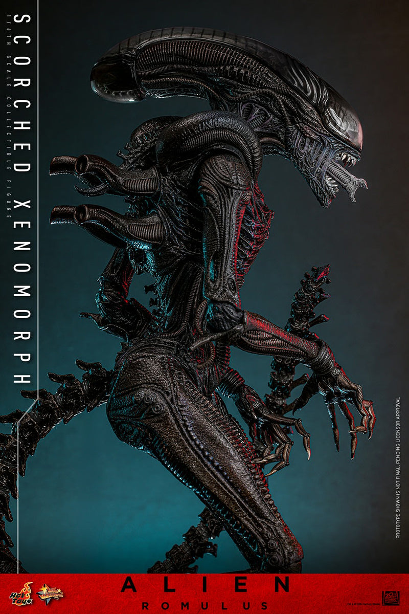 Alien: Romulus - Scorched Xenomorph 1/6th Scale Collectible Figure - MMS784