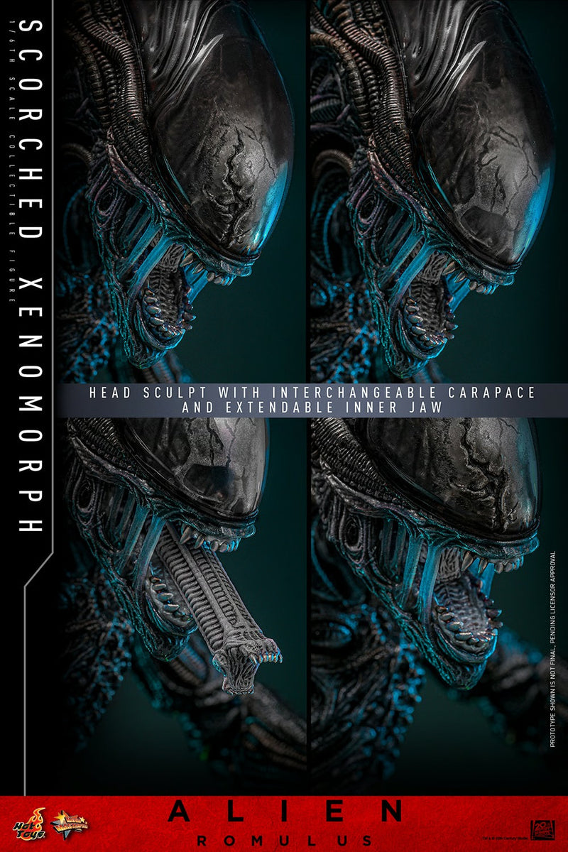 Alien: Romulus - Scorched Xenomorph 1/6th Scale Collectible Figure - MMS784