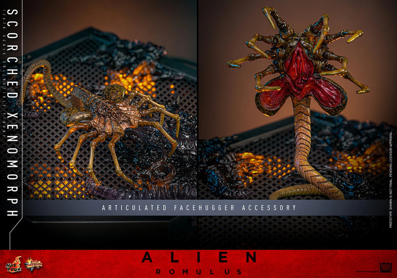Alien: Romulus - Scorched Xenomorph 1/6th Scale Collectible Figure - MMS784