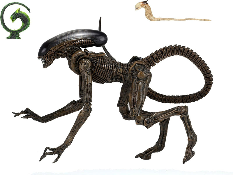 Alien 3 - Neca - Alien Dog Xenomorph Action Figure