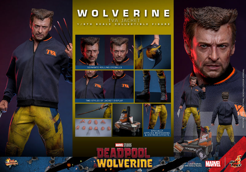 Deadpool & Wolverine - Wolverine (TVA Jacket Ver.) 1/6th Scale Collectible Figure - MMS756