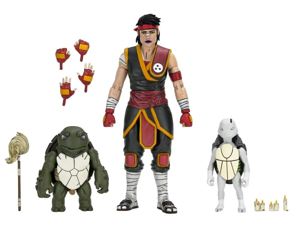 Teenage Mutant Ninja Turtles: The Last Ronin - The Lost Years