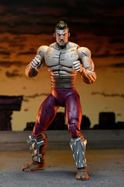 Teenage Mutant Ninja Turtles Worms of Madness Shredder (Mirage Comics) 2 pack - Action & Toy Figures -  Neca