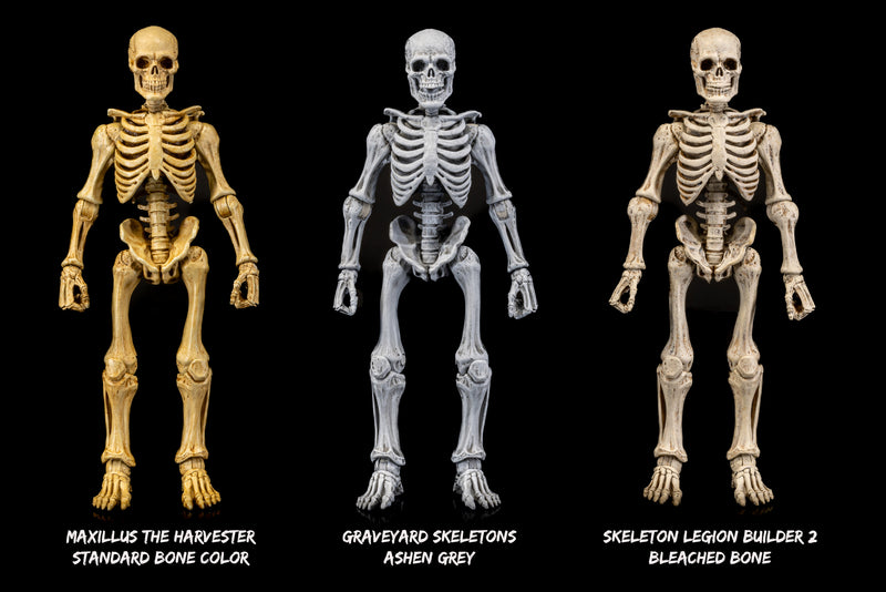 Mythic Legions - Graveyard Skeletons 4-pack - Collectables > Action Figures > toys -  Four Horsemen