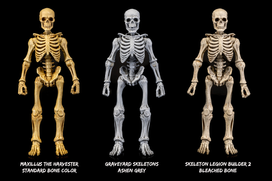 Mythic Legions - Graveyard Skeletons 4-pack (preorder Q2 2025)