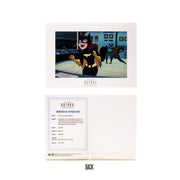 The New Batman Adventures Batgirl (preorder Feb/March) - Collectables > Action Figures > toys -  McFarlane Toys