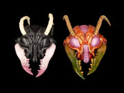 Cosmic Legions Sphexxian Helmets Cosmic Character Pack (preorder Q4 2025) - Collectables > Action Figures > toys -  Four Horsemen