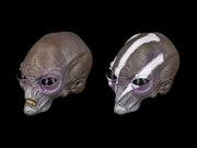 Cosmic Legions Greyborn Cosmic Character Pack (preorder Q4 2025) - Collectables > Action Figures > toys -  Four Horsemen