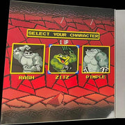 Battletoads - Exclusive Zitz ( Preorder OCT ) - Collectables > Action Figures > toys -  PREMIUM DNA