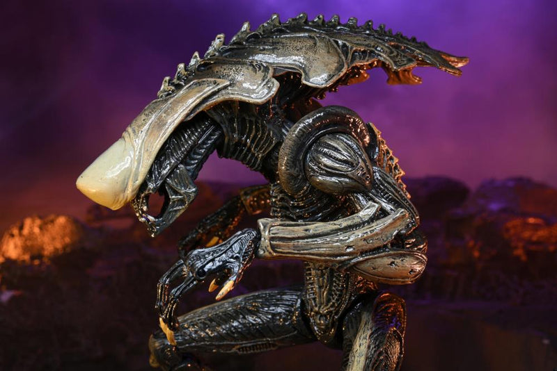 Alien vs. Predator Chrysalis (Movie Deco) Figure (preorder) - Action & Toy Figures -  neca