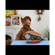 Neca ALF ULTIMATE (preorder) - Action & Toy Figures -  Neca