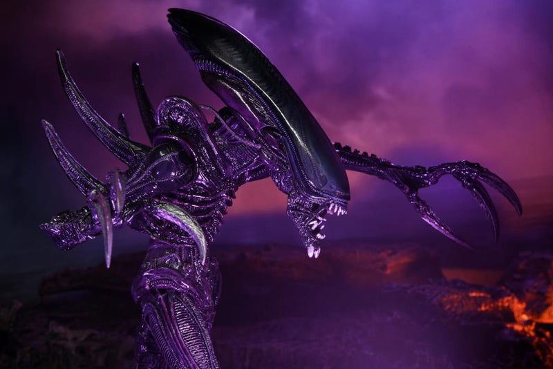 Alien vs. Predator Razor Claws (Movie Deco) Figure (preorder) - Action & Toy Figures -  Neca