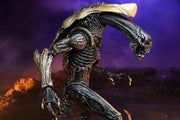 Alien vs. Predator Chrysalis (Movie Deco) Figure (preorder) - Action & Toy Figures -  neca