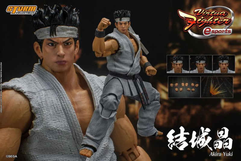 Virtua Fighter 5 Akira Yuki 1/12 Scale Figure -  -  Storm Collectibles