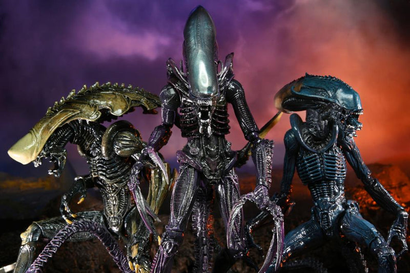 Alien vs. Predator Aliens Set of 3 Figures Movie Deco  (Preorder) - Action figure -  Neca
