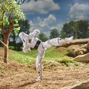 Power Rangers Lightning Collection Mighty Morphin Ninja Wave 1 Set of 4 - Collectables > Action Figures > toys -  Hasbro