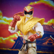 Power Rangers X Street Fighter Lightning Collection Morphed Ryu Crimson Hawk Ranger (preorder) - Action & Toy Figures -  Hasbro