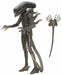 Neca Alien 40th Anniversary Giger's Alien - Action & Toy Figures -  Neca