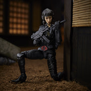 (preorder ETA Aug/Sept) G.I. Joe Classified Series Baroness Action Figure - Toy Snowman