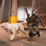 G.I. Joe Classified Series Snake Eyes & Timber - White - (preorder) - Action & Toy Figures -  Hasbro