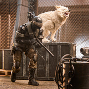 G.I. Joe Classified Series Snake Eyes & Timber - White - (preorder) - Action & Toy Figures -  Hasbro