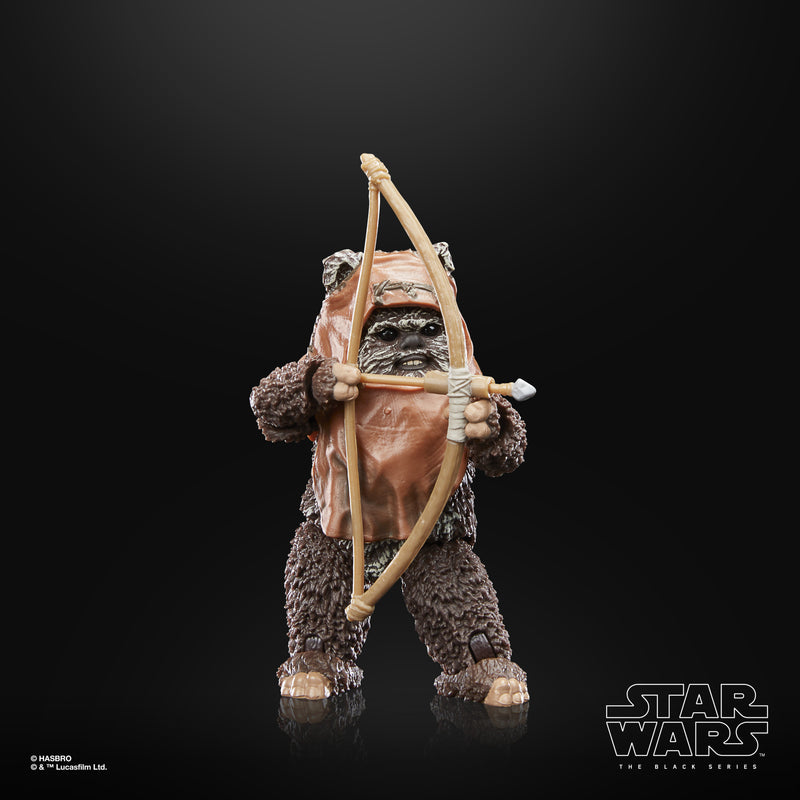 Star Wars The Black Series Wicket Action Figures  (preorder ETA April) - Collectables > Action Figures > toys -  Hasbro