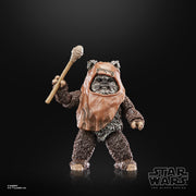 Star Wars The Black Series Wicket Action Figures  (preorder ETA April) - Collectables > Action Figures > toys -  Hasbro