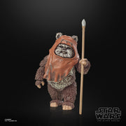 Star Wars The Black Series Wicket Action Figures  (preorder ETA April) - Collectables > Action Figures > toys -  Hasbro