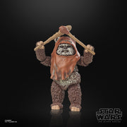 Star Wars The Black Series Wicket Action Figures  (preorder ETA April) - Collectables > Action Figures > toys -  Hasbro