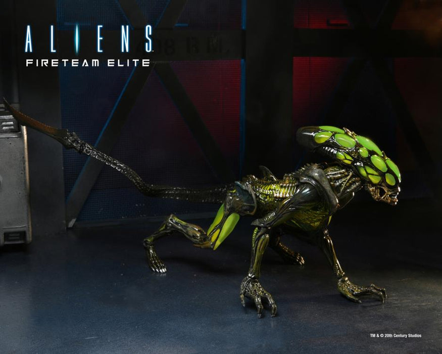 Aliens: Fireteam Elite Burster Alien Action Figure - Action & Toy Figures -  Neca