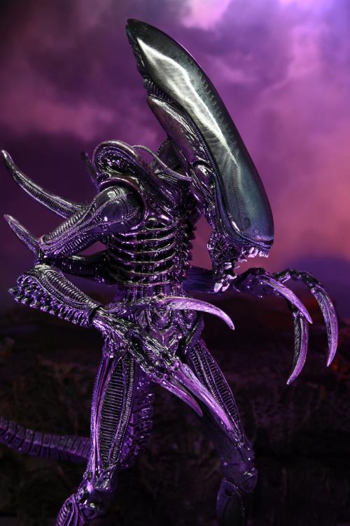 Alien vs. Predator Aliens Set of 3 Figures Movie Deco  (Preorder) - Action figure -  Neca